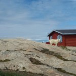 Animales en Ilulissat