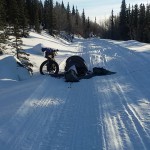 Acampada de Antonio en la Iditarod Trail